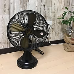 リビング/扇風機/好きなものに囲まれて暮らす/まとまりのない部屋/雑貨...などのインテリア実例 - 2017-07-05 21:36:46