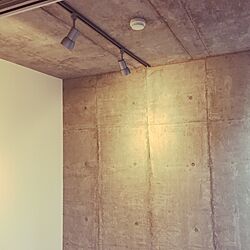 壁/天井/照明のインテリア実例 - 2017-04-12 02:03:29