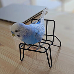 机/スマホスタンド/IKEA/犬/鳥...などのインテリア実例 - 2024-03-26 22:58:45