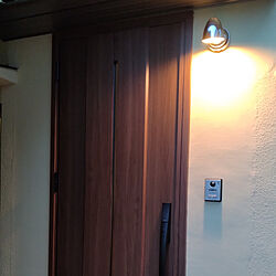 玄関/入り口/玄関/リクシルの玄関ドア/ODELIC 照明のインテリア実例 - 2022-09-22 21:54:13