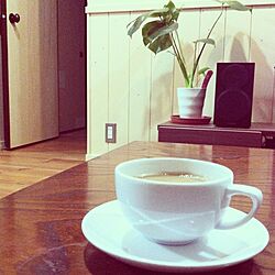 リビング/コーヒーが似合ううつわ/グリーン/観葉植物/coffee...などのインテリア実例 - 2013-09-26 20:58:52
