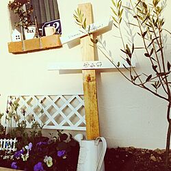 玄関/入り口/植物/DIYのインテリア実例 - 2014-02-02 22:39:22
