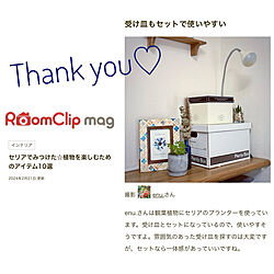 部屋全体/RoomClip mag 掲載/シンプルインテリア/ナチュラル/賃貸でも諦めない...などのインテリア実例 - 2024-02-23 11:28:47