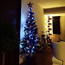 リビング/照明/クリスマスツリー/自転車/ソファーのインテリア実例 - 2014-11-27 21:31:13