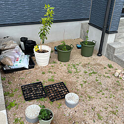 庭/ガーデニング/DIY/観葉植物/玄関/入り口のインテリア実例 - 2023-04-09 21:54:05