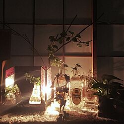 部屋全体/観葉植物/ステンドグラス照明/照明/ハンドメイドのインテリア実例 - 2016-03-06 22:00:47