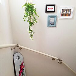 壁/天井/階段の壁/階段インテリア/緑のある暮らし/観葉植物...などのインテリア実例 - 2017-01-13 22:36:20