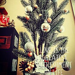 壁/天井/ダイソー/クリスマスツリー/ブリキのインテリア実例 - 2016-12-03 08:05:28