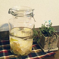 キッチン/自家製果実酒/レモン酒のインテリア実例 - 2017-06-08 18:35:02