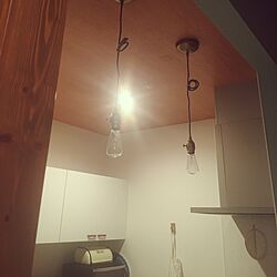 キッチン/アートワークスタジオ 照明のインテリア実例 - 2017-04-13 00:48:56