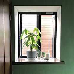 観葉植物のある暮らし/出窓のグリーン/玄関/入り口のインテリア実例 - 2023-06-27 18:03:45