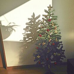 リビング/クリスマスツリーのインテリア実例 - 2014-11-13 14:04:21