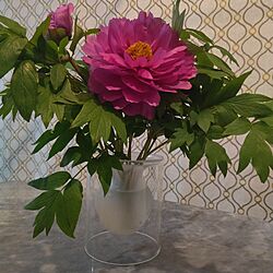 花瓶のお花のインテリア実例 - 2024-04-05 23:37:18