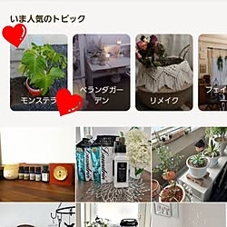 部屋全体/モンステラ/グリーンのある暮らし/モンステラ巨大化中/底面吸水...などのインテリア実例 - 2024-03-26 13:08:57