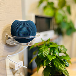 Home Pod mini/観葉植物/キッチンのインテリア実例 - 2022-02-23 23:36:51