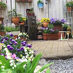 玄関/入り口/模様替え/DIY/庭/植物...などのインテリア実例 - 2013-04-17 15:47:03