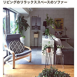 植物のある部屋/植物/植物のある暮らし/IKEAのソファー/RoomClip mag...などのインテリア実例 - 2020-01-25 21:31:28