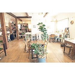 部屋全体/minoi ts cafe/くつろぎ空間/植物/カフェ...などのインテリア実例 - 2014-12-21 19:23:45