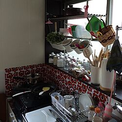 キッチン/IKEA/セリアのインテリア実例 - 2014-08-17 09:46:31