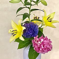 机/紫陽花/7月2日/日替わり投稿企画!日曜日/定点観測...などのインテリア実例 - 2017-07-02 13:45:53