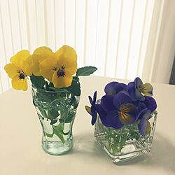 机/コーラのミニグラス/グラス/花瓶/植物...などのインテリア実例 - 2015-04-02 10:15:21