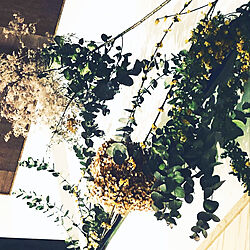 ドライフラワー/花を飾る/テレビボード周り/壁/天井のインテリア実例 - 2021-04-29 09:11:31