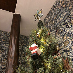 出窓/クリスマスツリー/クリスマス/ねこと暮らす。/こどものいる暮らし...などのインテリア実例 - 2020-12-11 22:47:23