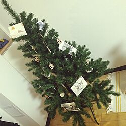 リビング/ポストカード/クリスマスツリー/北欧のインテリア実例 - 2016-11-27 21:03:22