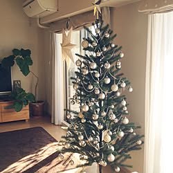 部屋全体/クリスマス飾り/クリスマスツリー/IKEAのインテリア実例 - 2015-12-07 09:43:57