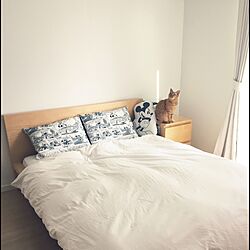 ベッド周り/無印良品/IKEA/ねこのいる風景/ねこ...などのインテリア実例 - 2015-08-11 14:17:37
