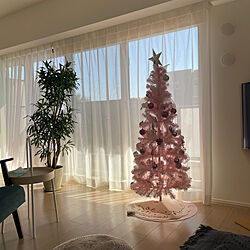 クリスマスツリー150cm/リビングのインテリア実例 - 2023-11-08 11:51:46