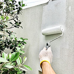 塀塗装/白壁 DIY/屋外壁塗装/リペイント/DIY...などのインテリア実例 - 2020-07-14 00:52:09