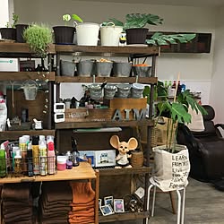 店舗です/多肉植物/男前/100均/雑貨...などのインテリア実例 - 2016-06-13 17:37:01