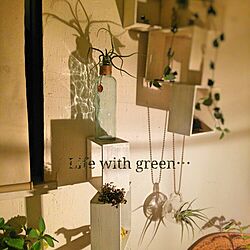 壁/天井/癒し♡/植物/green/100均...などのインテリア実例 - 2015-11-12 22:53:54