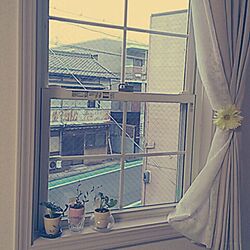 窓/植物のインテリア実例 - 2014-02-26 17:31:28
