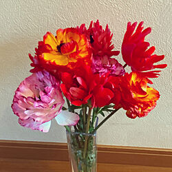 ピンク/花のある暮らし/黄色/オレンジ/ガラスの花瓶...などのインテリア実例 - 2021-04-10 10:45:29