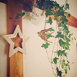 壁/天井/星/観葉植物のインテリア実例 - 2016-02-28 11:21:33