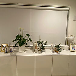 リビング/ゴールド/IKEA/窓辺のインテリア/観葉植物...などのインテリア実例 - 2024-04-01 18:49:10