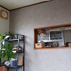 壁/天井/カフェ風/リプサリス/多肉植物/雑貨...などのインテリア実例 - 2021-09-12 10:40:50