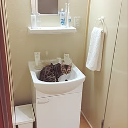 バス/トイレ/猫/白/シンプル/IKEA...などのインテリア実例 - 2016-11-21 22:44:21