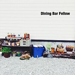 玄関/入り口/Dining Bar Fellow/サボテン/多肉植物/寄せ植え...などのインテリア実例 - 2016-05-02 09:43:17