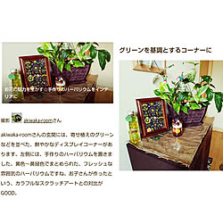 玄関/入り口/RoomClip mag 掲載/Room Clip mag掲載/いつもありがとうございます♪感謝☆/観葉植物のある暮らし...などのインテリア実例 - 2021-02-05 17:29:47