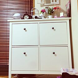 棚/IKEA/前の家のインテリア実例 - 2013-06-04 20:33:43
