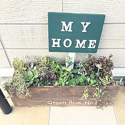 玄関/入り口/多肉寄せ植え/Greenboxは作ってもらった♡/マイホーム/多肉植物...などのインテリア実例 - 2015-09-17 17:04:27