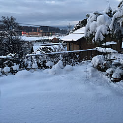 玄関/入り口/横浜市民/銀世界/大雪 ｡ﾟ(ﾟ´Д｀ﾟ)ﾟ｡/庭...などのインテリア実例 - 2018-01-23 08:34:23