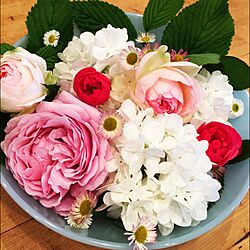 玄関/入り口/薔薇/庭の植物たち/ファイヤーキングのインテリア実例 - 2016-05-07 15:40:14