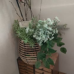 フラワーベース/フェイクグリーンのある暮らし/DIY/草花のある暮らし/いいねフォローありがとうございます...などのインテリア実例 - 2024-02-03 11:33:56