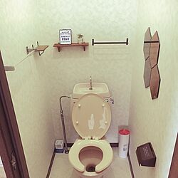 バス/トイレ/アパートのトイレこれが限界笑。/ダイソー/セリア/IKEA...などのインテリア実例 - 2016-07-24 19:05:27