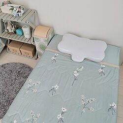 机/枕/寝具/NEWPEACE/PillowRelease...などのインテリア実例 - 2023-06-19 15:28:34