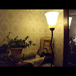 棚/ランプ/植物/照明のインテリア実例 - 2013-01-22 23:17:59